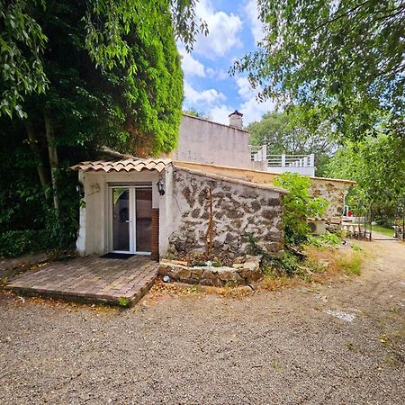 Suites Coupo Santo Et Lou Peiro Cotignac Dış mekan fotoğraf